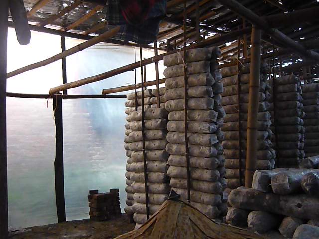 P1170436.JPG