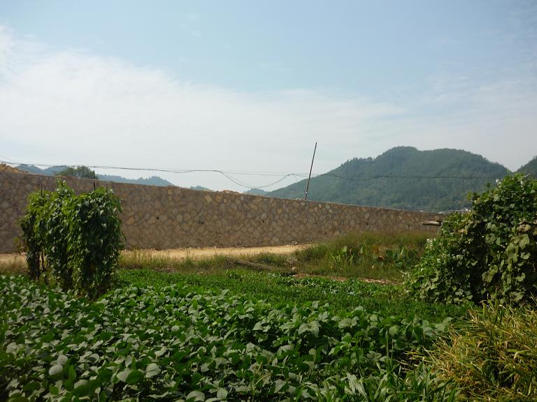 P1210029.JPG