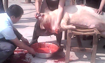 IMG1333A.jpg