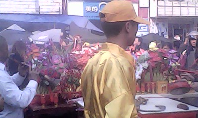 IMG1310A.jpg