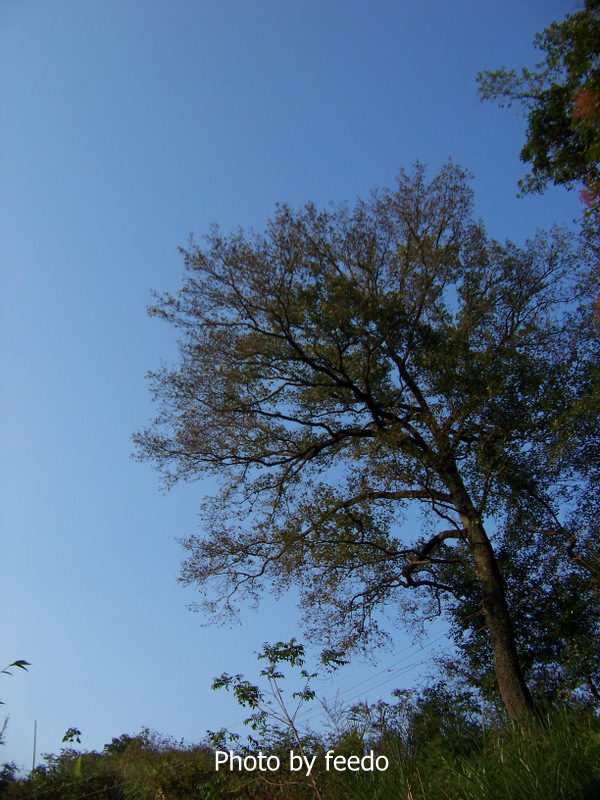 101_4573-001.JPG