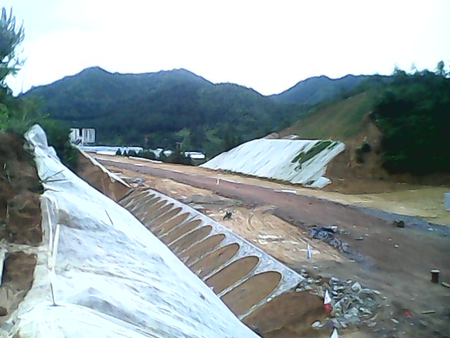 IMG1014A.jpg